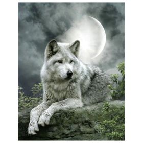 Couple Wolf Animal Landscape Diamond Painting (Option: Style10)