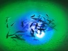 Mega-Watt Iris Underwater LED Lighting System