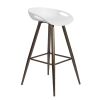 Bak Bar & Counter Stool (Set of 2)