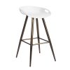 Bak Bar & Counter Stool (Set of 2)